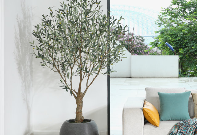 Top-Rated Botanicals